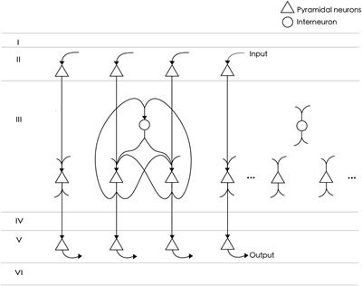 A Computational Model of Working Memory Based on Spike-Timing-Dependent Plasticity